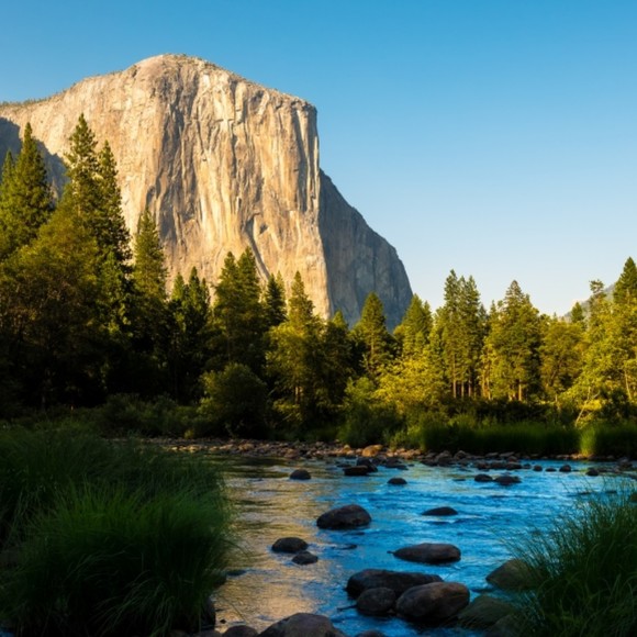 Meet your Posher, Lee - Picture 1 of 1